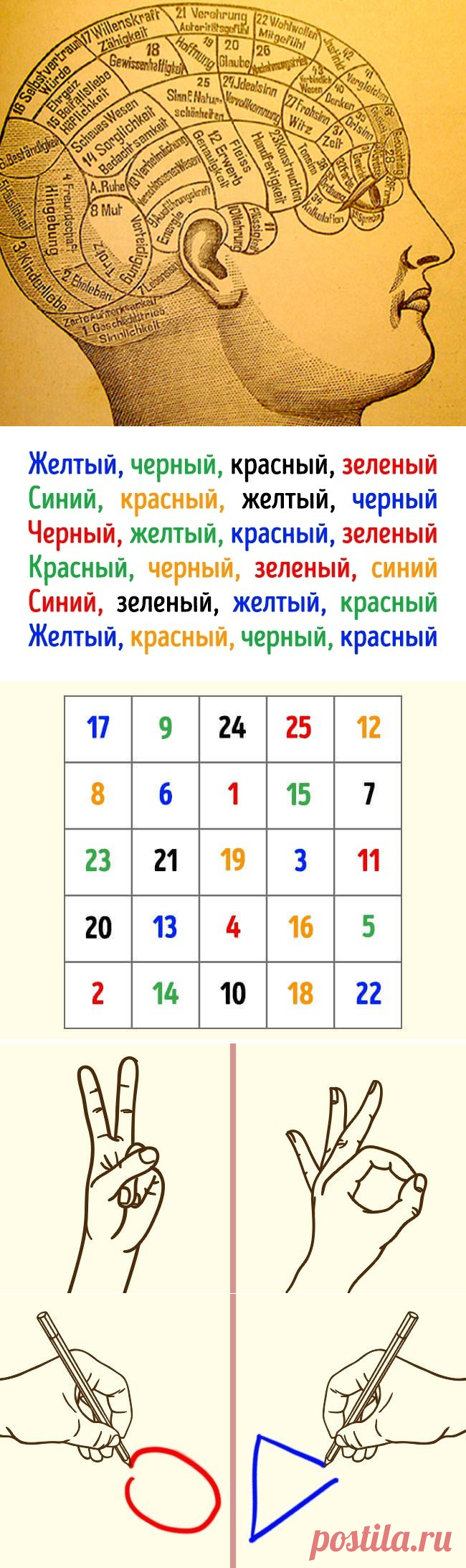 4 упражнения, которые сохранят ясность мышления