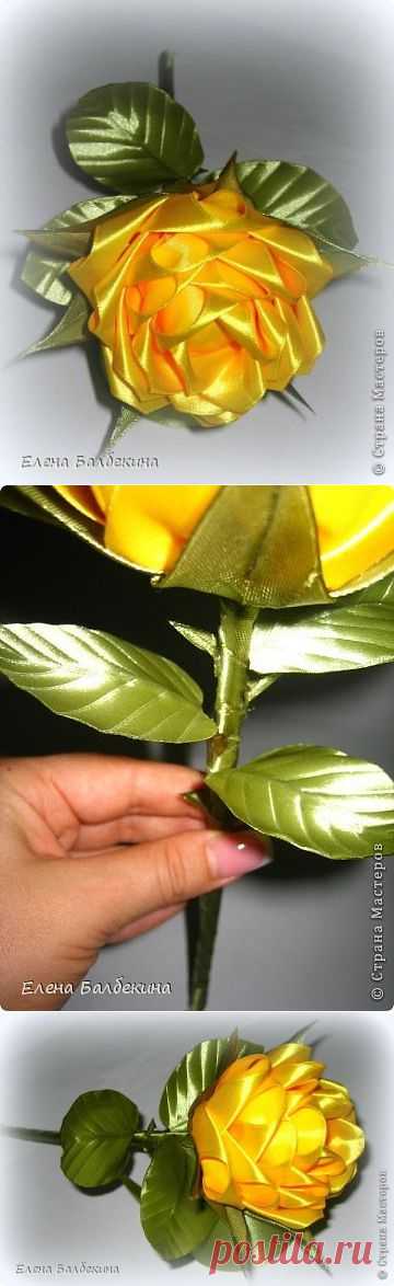 (39) Одноклассники