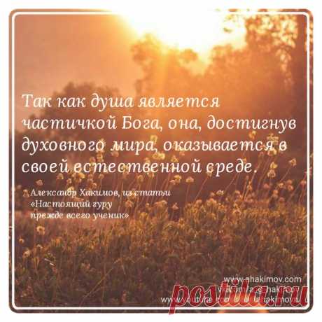 #Хакимов
www.ahakimov.com