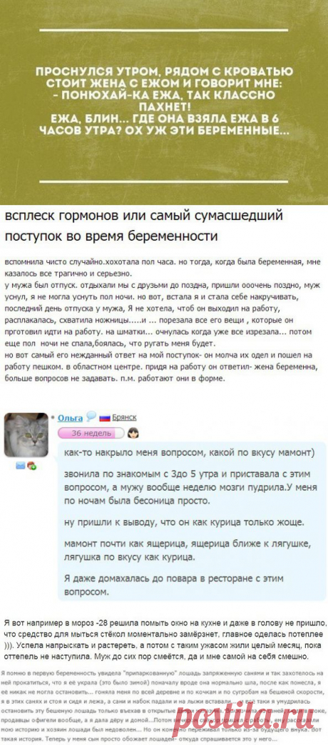 Беременные чудят