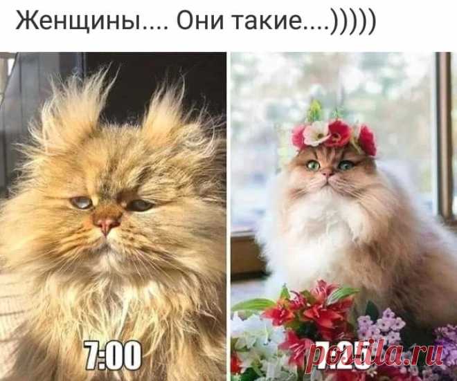 (41) Вам И Не Снилось...