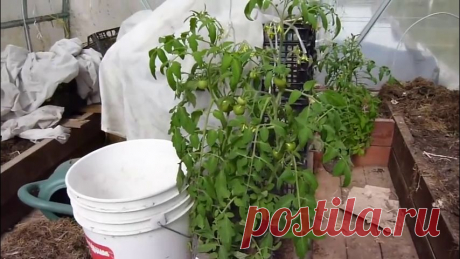 ПРИСПОСОБЛЕНИЯ для рассады. УДОБНО огороднику, КОМФОРТНО растениям