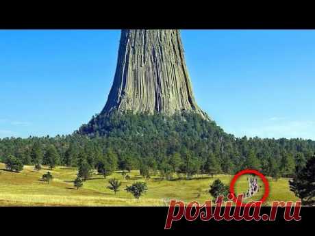 Выше Эвереста 🤯 Это Аномально-Большое Дерево Побило Все Рекорды