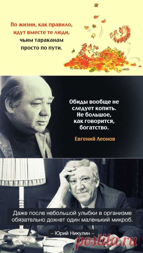 сообщение Только_для_женщин : Одной фразой... (11:46 21-03-2015) [3080659/357005094] - shatkot@mail.ru - Почта Mail.Ru