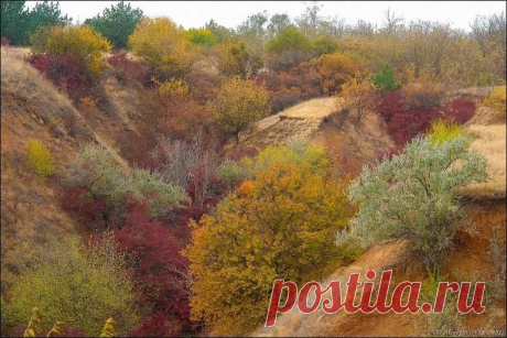 Фотопрогулки. Дорога в осень. часть 2