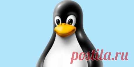 71 команда Linux на все случаи жизни. Ну почти В терминале Linux можно делать практически что угодно: настраивать систему, устанавливать и удалять приложения, управлять дисками и файлами и даже разговаривать с коровами.