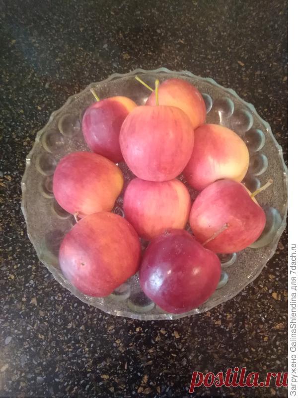 Подготовка яблонь к зиме. Осенние подкормки, обработки, побелка