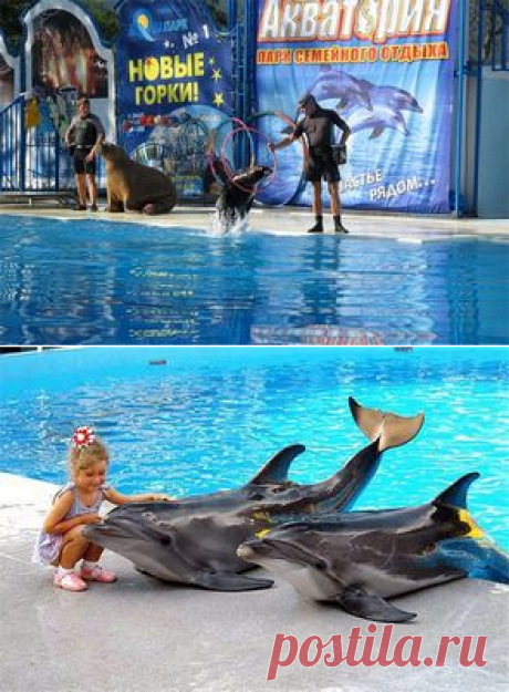 Ялта - акватория, дельфинарий, крокодиляриум | дельфинарий в Партените