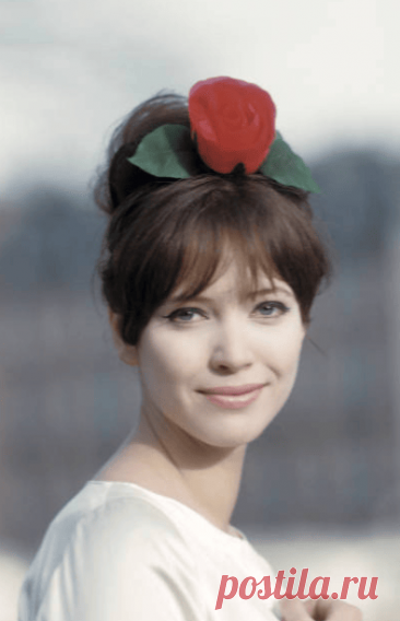 ANNA KARINA — ЦВЕТОК НА ВЕТРУ — VIZIST.ru