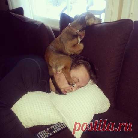 Oxpaнники cнa
