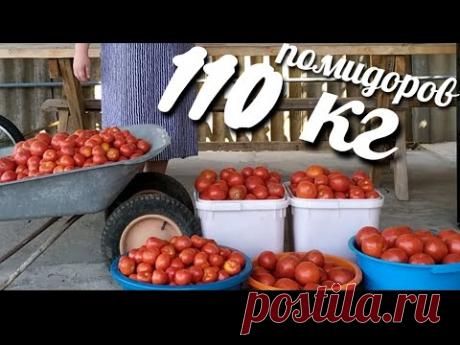 5 ОБАЛДЕННЫХ РЕЦЕПТОВ ИЗ ПОМИДОРОВ НА ЗИМУ/ WHERE TO PUT 110 KG OF TOMATOES? 5 HIT SEASON!