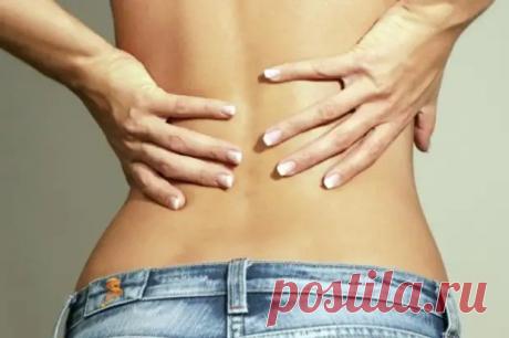 Лечение почек народными средствами - Народная медицина - медиаплатформа МирТесен