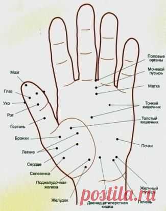 (2) Одноклассники