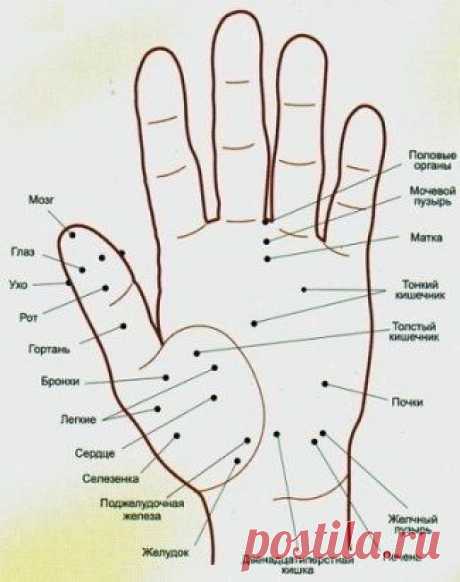 (2) Одноклассники