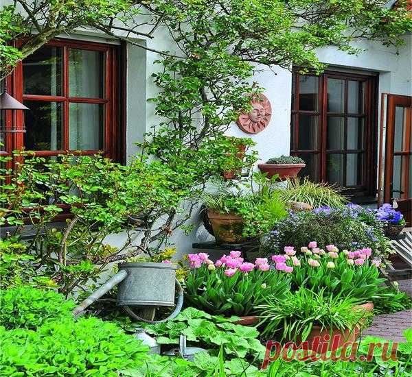 5 советов по посадке луковичных