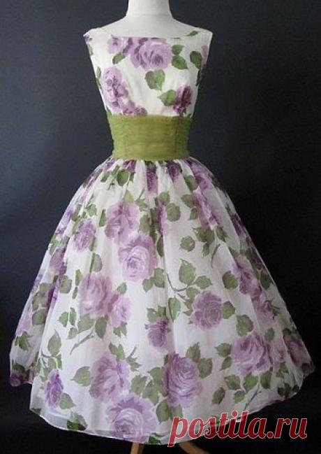 (5) Одноклассники