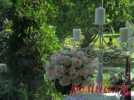 Creative Studio LUXURY