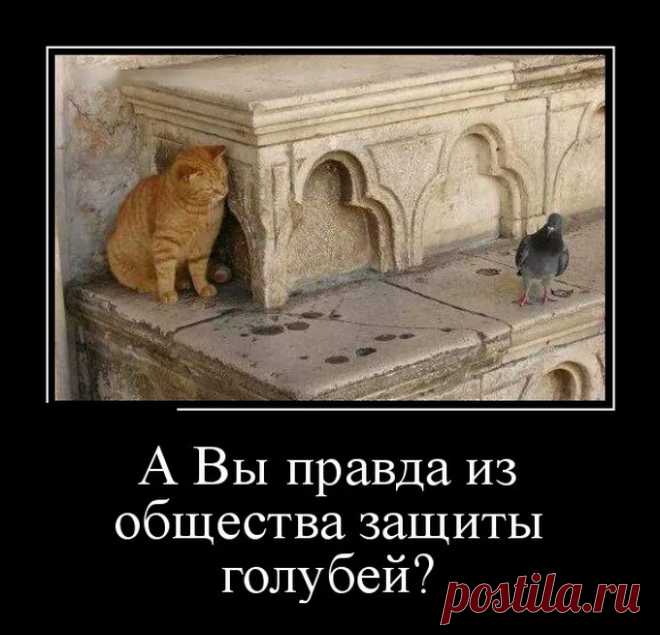 Всё ясно