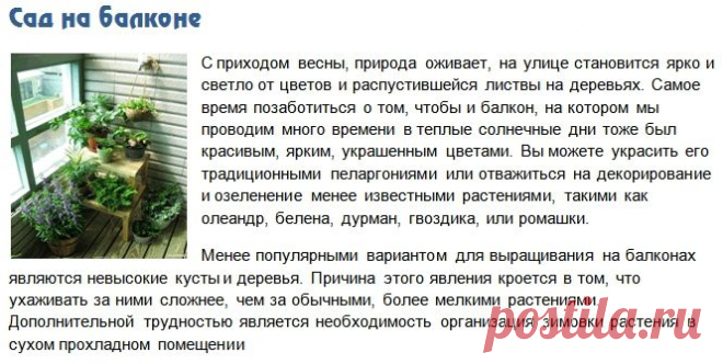 Озеленение балкона и лоджии - мини-сады