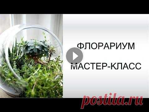 Флорариум своими руками | мастер-класс | GARDEN BOOM Мастер класс по созданию флорариума своими руками. Из видео вы узнаете: Как компоновать растения и декор для флорариума; Как правильно создавать миниа...
