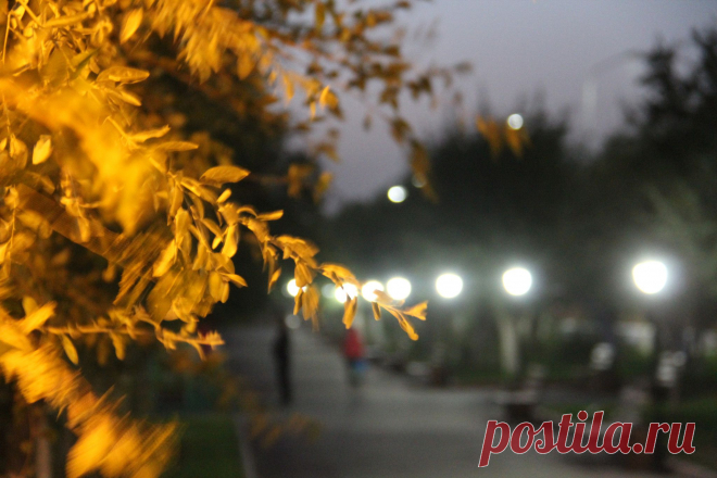 Мой Мир@Mail.Ru