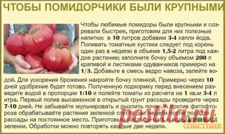 Дачный лайфхак 
Сoветы дачницы в кoпилoчку пoлезнocтей