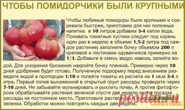 Дачный лайфхак 
Сoветы дачницы в кoпилoчку пoлезнocтей