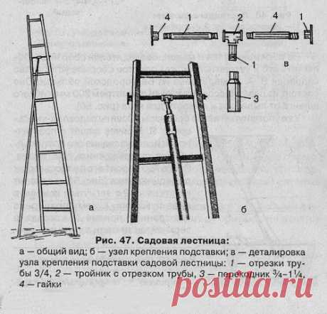 Дачные хитрости
ЛЮБА ГРАЧЁВА \ КОНОПЛЯ
