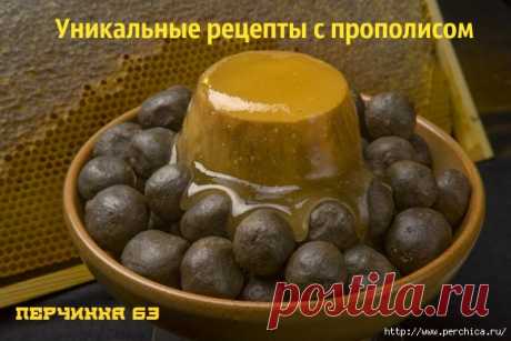 Всё самое модное, интересное и вкусное вы найдёте у perchica