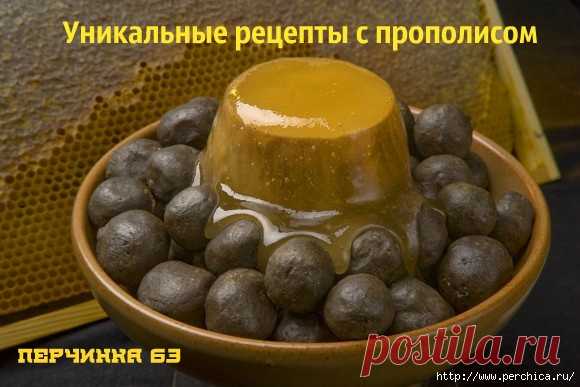 Всё самое модное, интересное и вкусное вы найдёте у perchica
