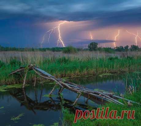 Лучшие фотографии уходящего года