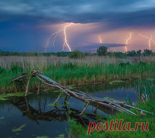 Лучшие фотографии уходящего года