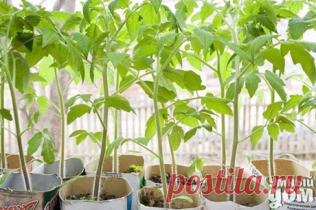 Стена | ВКонтакте