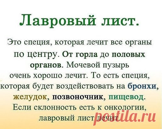 ЛАВРОВЫЙ ЛИСТ В ПОМОЩЬ 
Именно остеохондроз является причиной боли в спине в 80% случаев
Для тех, у кого застарелый остеохондроз, лучше любых мазей из аптеки помогают средства на основе лаврового листа.
Вот отличные рецепты:
1) Лавровое масло. Залить стаканом оливкового масла 1 ст. ложку мелко нарезанных лавровых листьев и настаивать 15 дней в теплом месте. Лучше всего втирать масло в больные места на ночь, а потом тепло укутываться.
2) Настой. Взять 1 ч. ложку измельченных листьев и залить 1,5