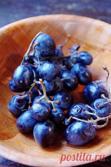 Левито мадре с нуля Блог интернет магазина правильного питания Хлебомолы