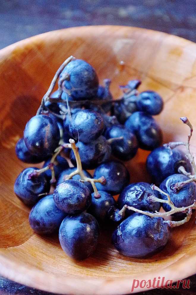 Левито мадре с нуля Блог интернет магазина правильного питания Хлебомолы