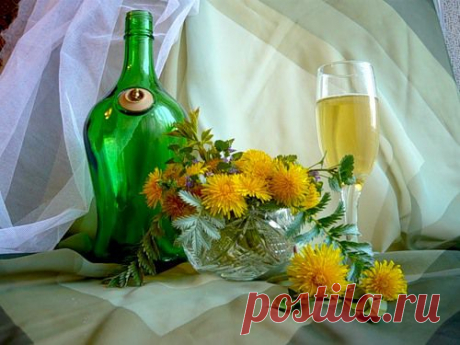 Рецепт вина из одуванчика | Советы Народной Мудрости