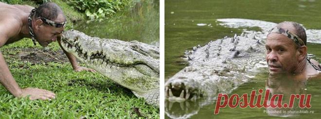 Не только управдом — друг человека (дружба с крокодилом) — Наука и жизнь   С тех пор и продолжается эта удивительная дружба.