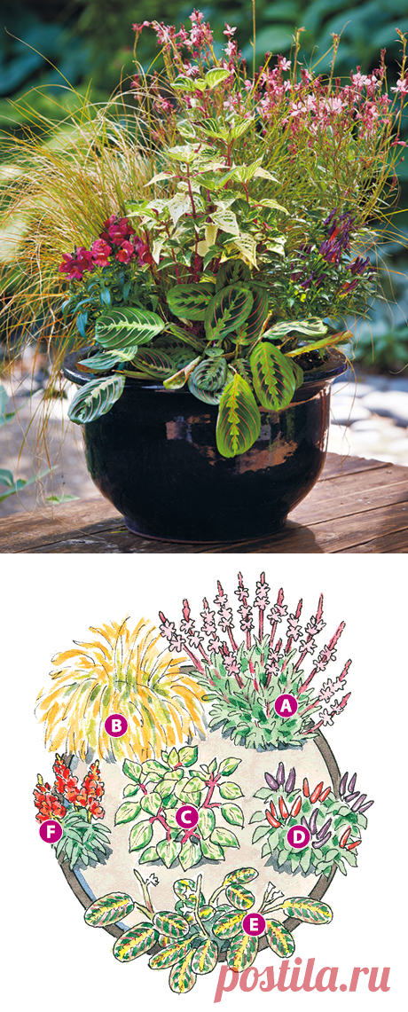 Summer container makeover | Garden Gate Magazine