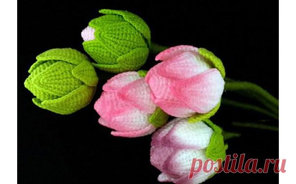 Как связать цветы лотоса крючком