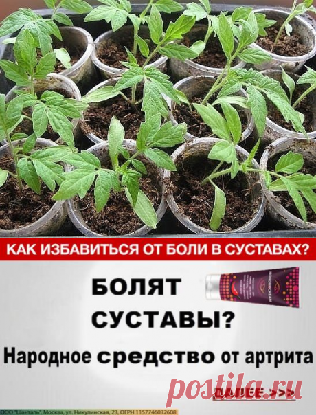 (1) Одноклассники