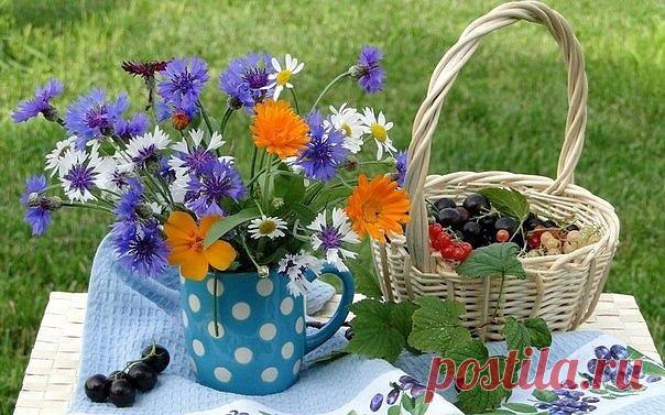 Копилка Впечатлений.
валентина зубарева (юрина)