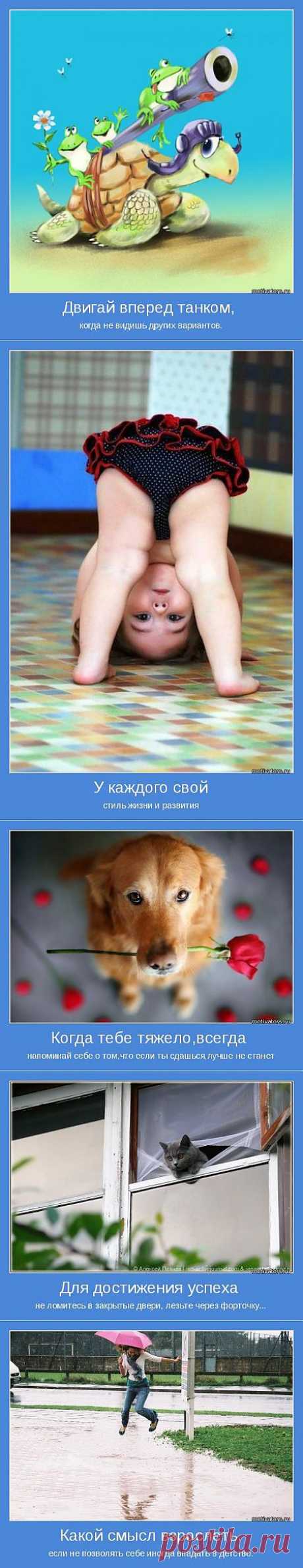 Мотивция. Двигайся танком! » Поржать.ру