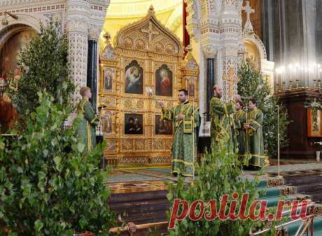 Желаю вам добра и света
Я в праздник Троицы Святой,
Пусть радует вас жизнь любовью,
Здоровьем, счастьем, красотой!