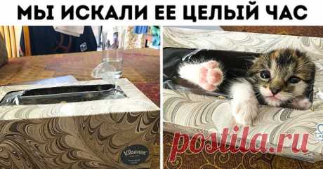 25 фотографий, которые растрогают даже того, у кого камень вместо сердца