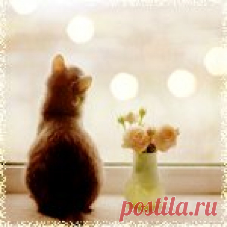 И говорите только с теми, кто понимает…Анна Кирьянова