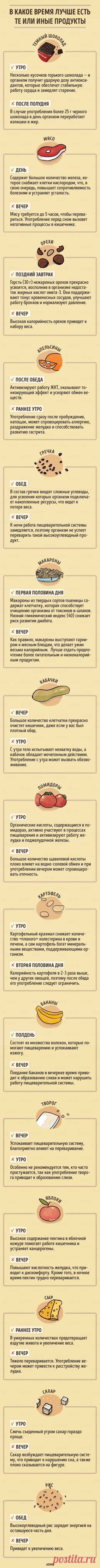 В какое время дня лучше есть те или иные продукты: все для красоты