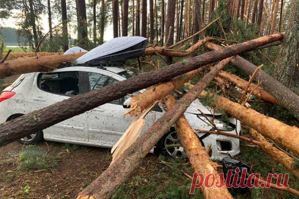 Дома без крыш и стен: последствия тверского урагана. Фоторепортаж. В Тверской области в понедельник прошел ураган, скорость ветра достигала 25 м/с. Повалены десятки деревьев, частично повреждены частные жилые дома и ЛЭП. Основной удар пришелся на город Андреаполь и Осташковский городской округ. Там погибли три человека, 11 пострадали. Последствия урагана — в фоторепортаже РБК