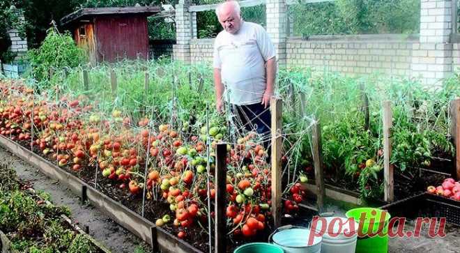 Сделай сам