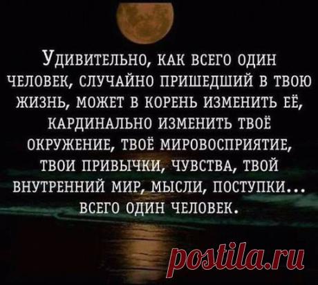 Вячеслав Шептицкий